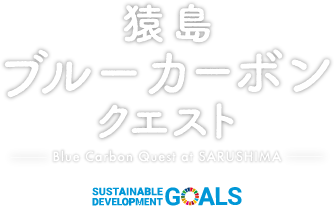 猿島ブルーカーボンクエスト -Blue Carbon Quest at SARUSHIMA-
